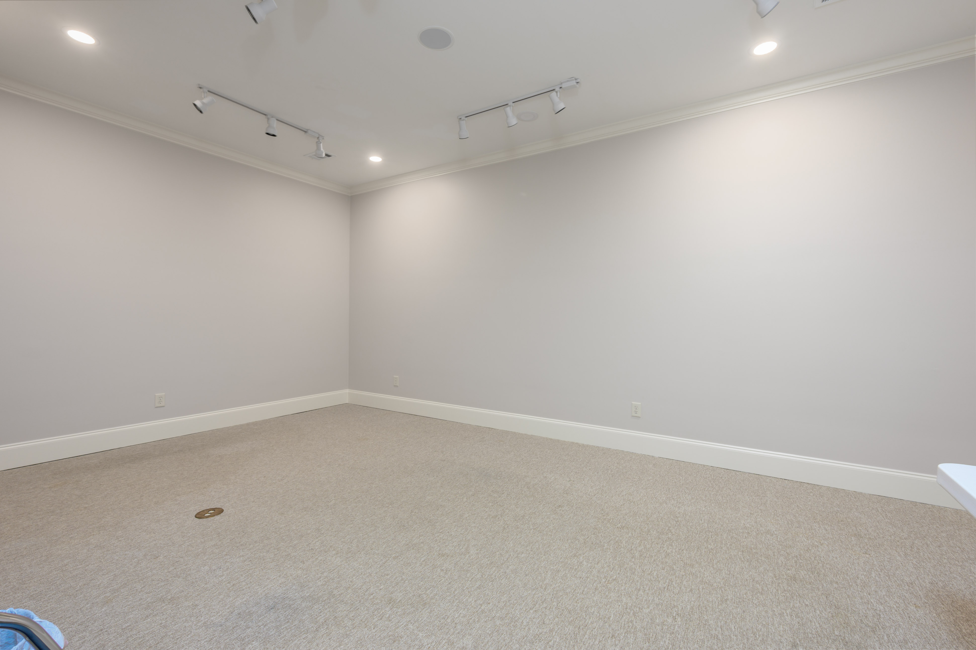 1320 Dejarnet Place image 36